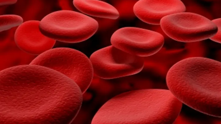 Estudo mostra como glóbulos vermelhos podem ajudar a prever risco de morte e enfartes
