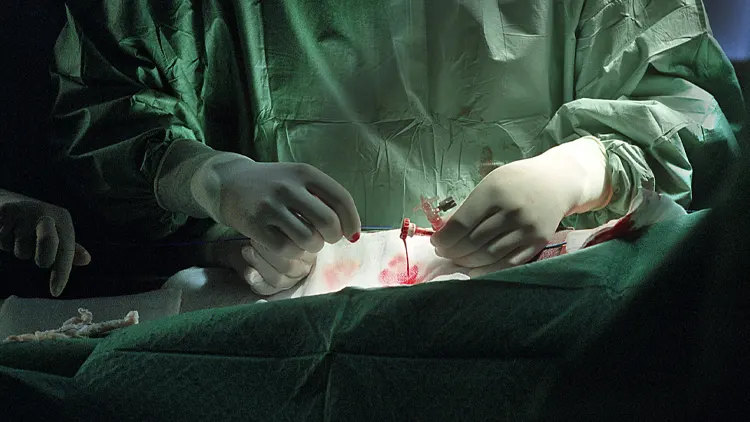 Estudo revela como glóbulos vermelhos podem ajudar a prever risco de morte e enfartes