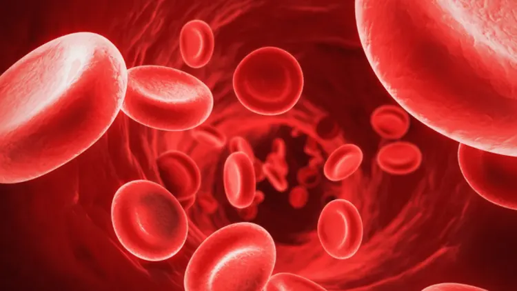 Três em quatro doentes com aneurismas da aorta abdominal não sobrevivem em Portugal