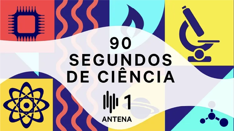 Sobre o projeto SEXDIFEND